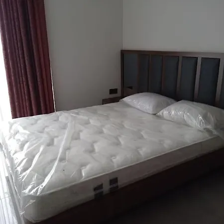 Premium Dbx 81 Μπέλεκ
